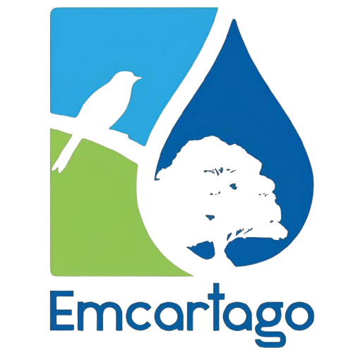 Web Developer | Emcartago
